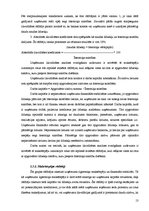 Referāts 'IA "X" uzņēmuma finansiālā stāvokļa izvērtēšana un attīstības programmas', 13.