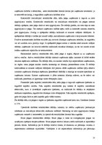 Referāts 'IA "X" uzņēmuma finansiālā stāvokļa izvērtēšana un attīstības programmas', 18.