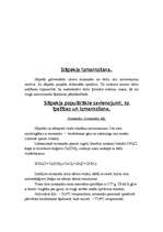 Referāts 'Metālu un nemetālu raksturojums', 13.