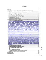 Referāts 'Ieņēmumu uzskaite un analīze SIA "X"', 2.