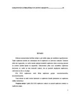 Referāts 'Ieņēmumu uzskaite un analīze SIA "X"', 3.