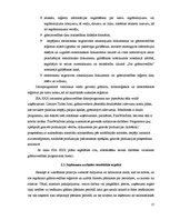 Referāts 'Ieņēmumu uzskaite un analīze SIA "X"', 15.