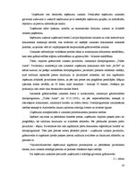 Referāts 'Ieņēmumu uzskaite un analīze SIA "X"', 20.