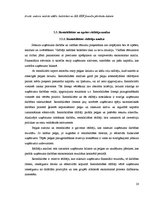 Referāts 'Ieņēmumu uzskaite un analīze SIA "X"', 28.