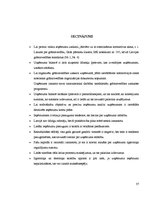 Referāts 'Ieņēmumu uzskaite un analīze SIA "X"', 37.