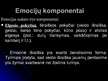 Prezentācija 'Emocijos', 7.