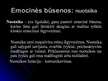 Prezentācija 'Emocijos', 12.