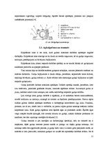 Diplomdarbs 'Gultņu strāvas un vārpstu sprieguma ietekme uz asinhrono dzinēju', 21.