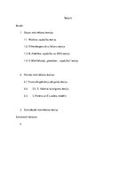 Referāts 'Personāla motivēšanas teorijas', 2.