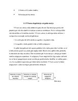 Referāts 'Personāla motivēšanas teorijas', 13.