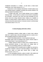 Referāts 'SIA "Zaļās vides projekts" konkurētspējas un attīstības iespējas Latvijā', 13.