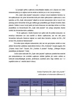 Referāts 'SIA "Zaļās vides projekts" konkurētspējas un attīstības iespējas Latvijā', 29.