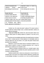 Referāts 'SIA "Zaļās vides projekts" konkurētspējas un attīstības iespējas Latvijā', 31.