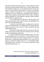 Referāts 'SIA "Zaļās vides projekts" konkurētspējas un attīstības iespējas Latvijā', 39.