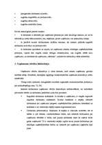 Referāts 'Komunikācijas uzņēmējdarbībā', 6.