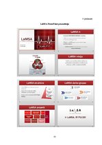 Prakses atskaite 'Latvijas Medicīnas Studentu asociācijas atpazīstamības celšana un iekšējās komun', 33.