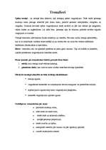 Referāts 'Fiziskās aktivitātes higiēna', 18.