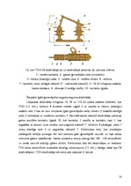 Referāts 'Kūstošie drošinātāji', 20.