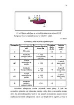 Diplomdarbs 'Pakalpojumu uzņēmuma darbības pilnveidošanas projekts', 10.