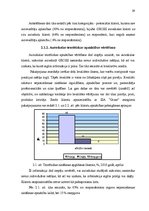 Diplomdarbs 'Pakalpojumu uzņēmuma darbības pilnveidošanas projekts', 25.