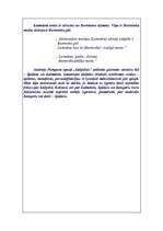 Eseja 'Galvenie sieviešu tēli A.Pumpura eposā "Lāčplēsis"', 6.