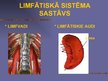 Prezentācija 'Limfrite', 3.