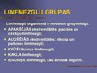 Prezentācija 'Limfrite', 10.