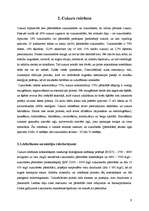 Referāts 'Cukura nozares problēmas Latvijā', 9.