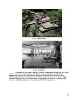 Referāts 'Frenks Loids Raits', 11.