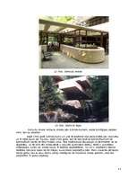 Referāts 'Frenks Loids Raits', 13.