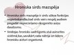 Prezentācija 'Hroniska sirds mazspēja', 2.
