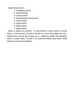 Konspekts 'Ražošanas resursi. Saimniekošana', 4.