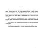 Referāts 'Jauniešu sarunvaloda interneta vidē', 3.