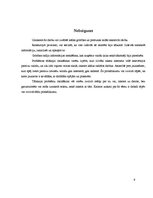 Referāts 'Jauniešu sarunvaloda interneta vidē', 9.