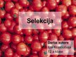 Prezentācija 'Selekcija', 1.
