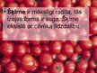Prezentācija 'Selekcija', 3.