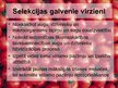 Prezentācija 'Selekcija', 4.