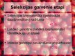 Prezentācija 'Selekcija', 5.