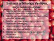Prezentācija 'Selekcija', 7.