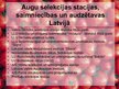 Prezentācija 'Selekcija', 13.