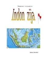 Referāts 'Indonēzija', 1.
