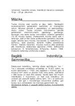 Referāts 'Indonēzija', 8.