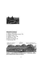 Referāts 'Indonēzija', 9.