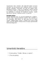 Referāts 'Indonēzija', 11.