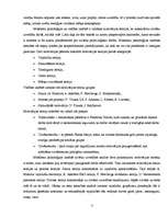 Referāts 'Motivācija', 3.