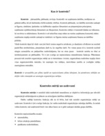 Referāts 'Mārketings - kontrole uzņēmumā', 4.