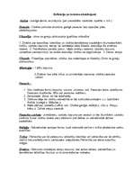 Referāts 'Kopējais un atšķirīgais mitoloģiskajā, reliģiskajā un zinātniskajā pasaules uzsk', 9.