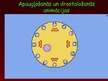 Prezentācija 'Prezentācija par vairošanos', 17.
