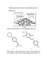 Konspekts 'Materiāli ar fotorefraktīvām īpašībām', 5.