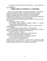 Referāts 'Preču deklarēšana', 18.